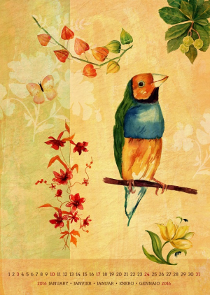 عکس با کیفیت  نقاشی پرنده شکوفه